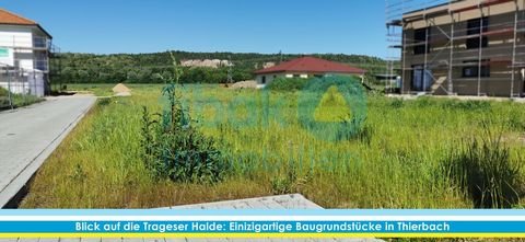 Kitzscher / Thierbach Grundstücke, Kitzscher / Thierbach Grundstück kaufen