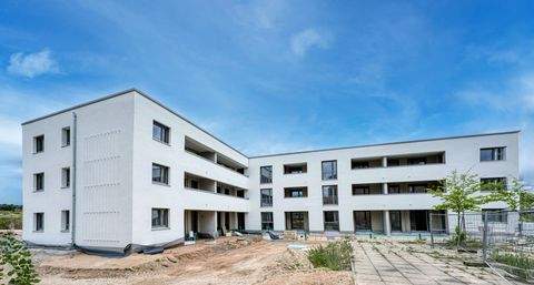 Spardorf Wohnungen, Spardorf Wohnung mieten