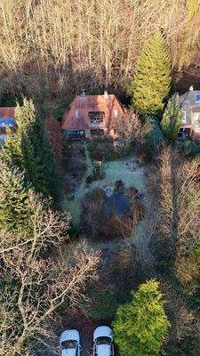 Drohnenaufnahme: Blick zum Wald