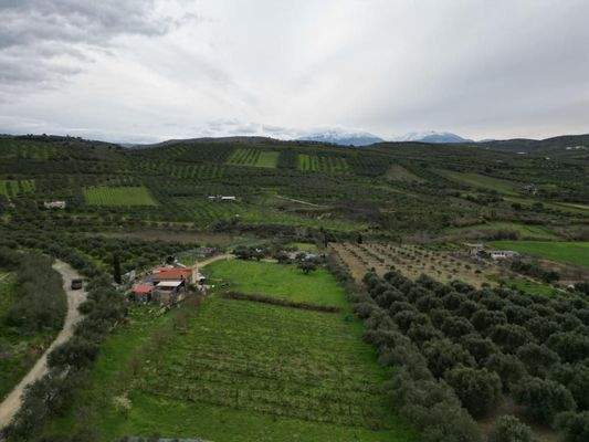 Kreta, Agies Paraskies: Großes Grundstück zu verkaufen