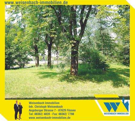 Weisenbach Immobilien