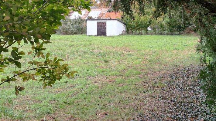 21c94e50-fe67-4f8c-95a8-33aa6b87d3a4 (1).jpeg