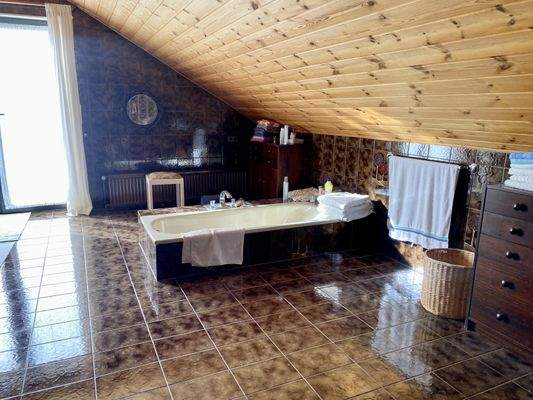 Großzügiges Tageslichbad