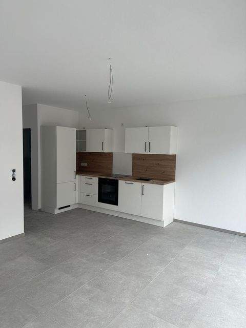 Papenburg / Aschendorf (Ems) Häuser, Papenburg / Aschendorf (Ems) Haus mieten 