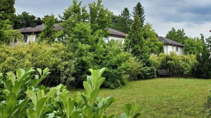 Blick auf das Grundstück