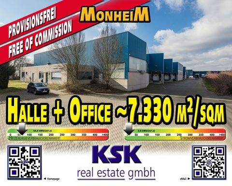 Monheim am Rhein Halle, Monheim am Rhein Hallenfläche