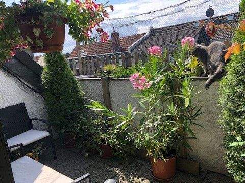 Köln Wohnungen, Köln Wohnung mieten