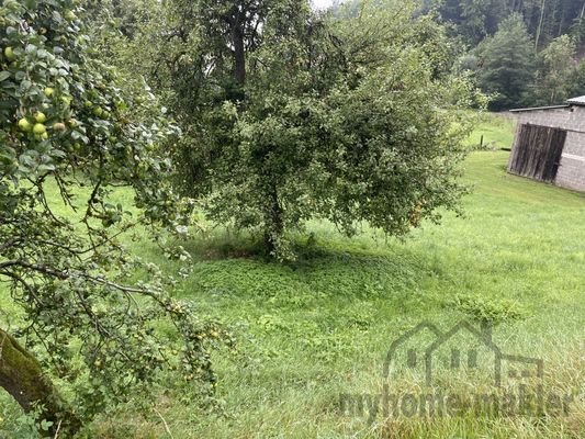 Baugrundstück in Weigendorf Etzelw.007