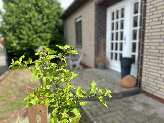 Eingangsbereich aussen