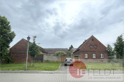 Sonnewalde / Birkwalde Häuser, Sonnewalde / Birkwalde Haus kaufen