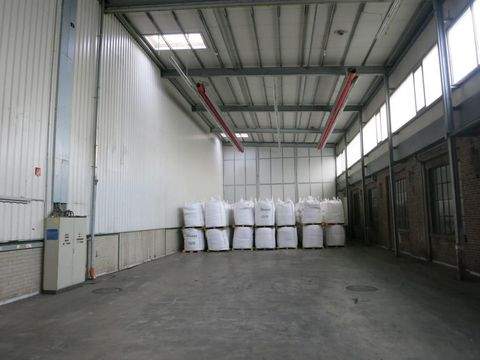 Dorsten Halle, Dorsten Hallenfläche