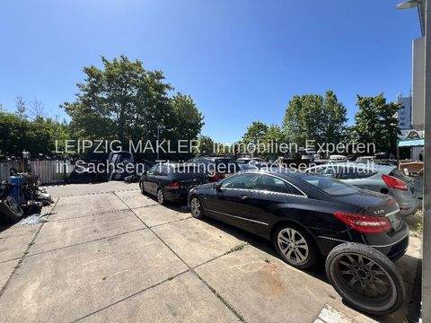 Leipzig Halle, Leipzig Hallenfläche