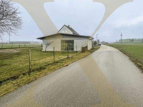 Enns Grundstücke, Enns Grundstück pachten