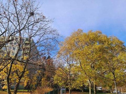 Wien Wohnungen, Wien Wohnung kaufen