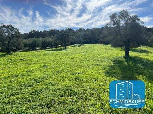 Kreta, Pitsidia: Grundstück zwischen zwei schönen Dörfern zu verkaufen