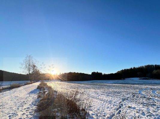 unvergleichliche Naherholungsgebiete im direkten Umfeld