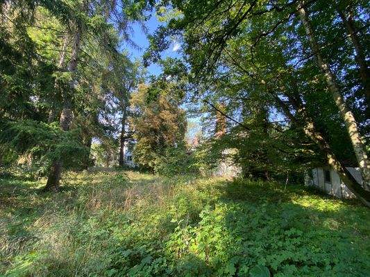 Fasanengehege (2).JPG