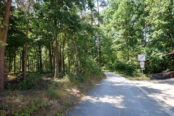 Waldgebiet neben dem Haus