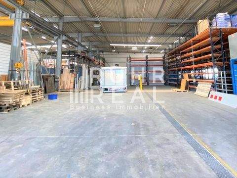 Grevenbroich Halle, Grevenbroich Hallenfläche