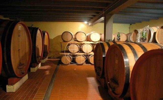 Traumhaftes Anwesen | Gaiole in Chianti