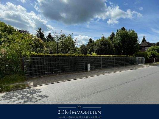 Albrecht-Dürer 22 002