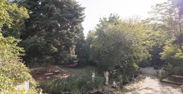 Wassergarten, 240823_0055-HDR