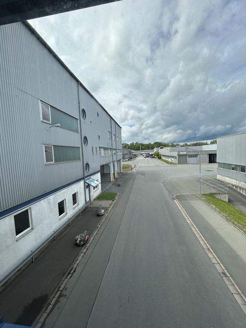 Hof Halle, Hof Hallenfläche