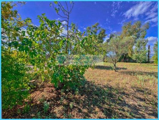 992af80dff6048bca7afb8b4817b3d4c-original