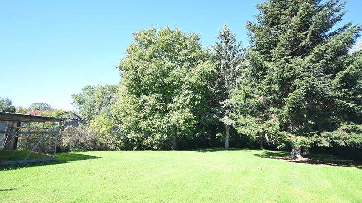 Grünfläche im hinteren Bereich