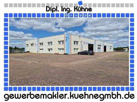 Zerbst/Anhalt Halle, Zerbst/Anhalt Hallenfläche