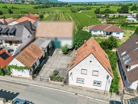 Neustadt an der Weinstraße Häuser, Neustadt an der Weinstraße Haus kaufen