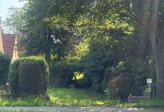 IMG_2741.jpeg