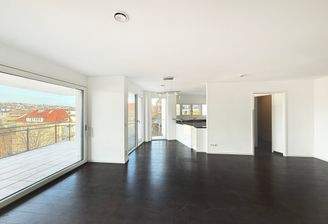 Wohnbereich mit Küche