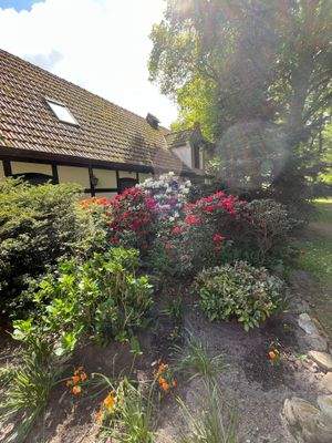 Vorgarten Wohnhaus 2