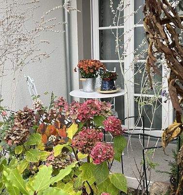 Herbstimpressionen