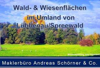 Titel Wald-u-Wiesen im Spreewald