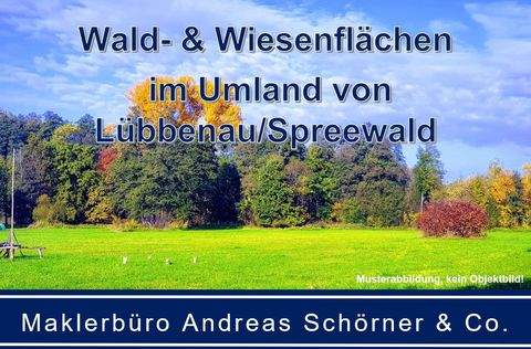 Lübbenau/Spreewald Bauernhöfe, Landwirtschaft, Lübbenau/Spreewald Forstwirtschaft