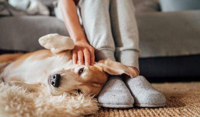 Wohlig warme Füße machen Ihnen das Aufstehen angenehm