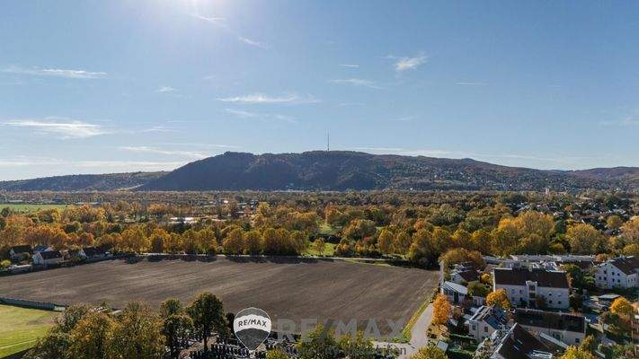 02 EFH Langenzersdorf - Panorama