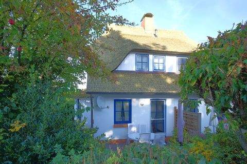 Born a. Darß Wohnungen, Born a. Darß Wohnung kaufen