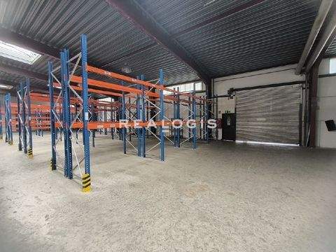 Hamburg Halle, Hamburg Hallenfläche