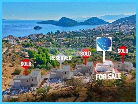 Tolo Häuser, Tolo Haus kaufen