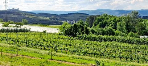 Krustetten Grundstücke, Krustetten Grundstück kaufen