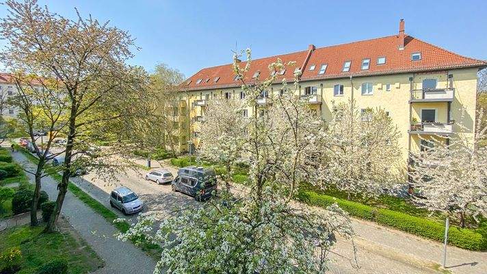 Ausblick aus der Wohnung