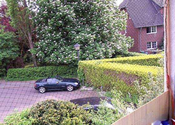 EH 2 - EG links - Ausblick Balkon