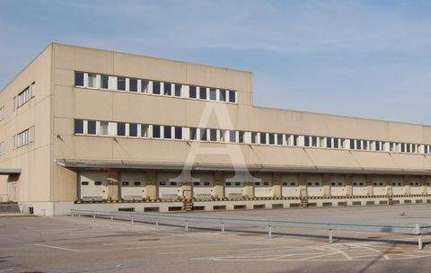 Kerpen Halle, Kerpen Hallenfläche