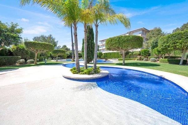 ae9ee79a-f66b-46f2-8f3b-92b5f1d151a8