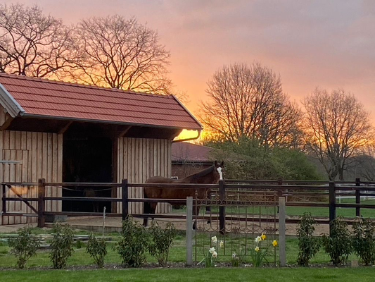 Offenstall Sonnenuntergang