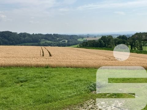 Malching Bauernhöfe, Landwirtschaft, Malching Forstwirtschaft