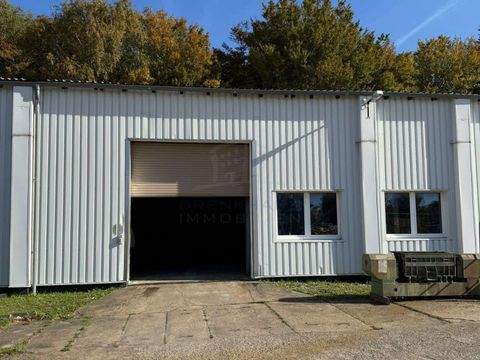 Barth Halle, Barth Hallenfläche